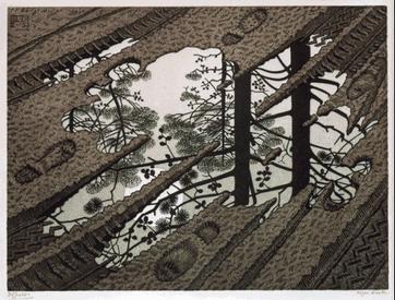 Puddles, After MC Escher’s Print of the Same Name Done in 1952